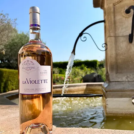 Chateau De La Clapiere Дом отдыха