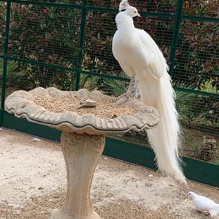 Дом отдыха Chateau De La Clapiere Йер