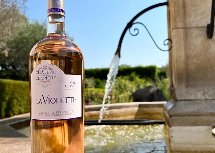 Chateau De La Clapiere Дом отдыха