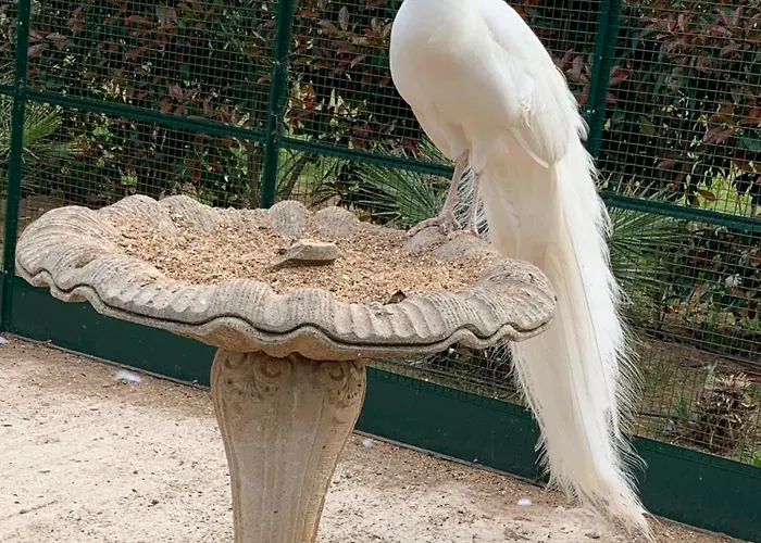 Дом отдыха Chateau De La Clapiere Йер