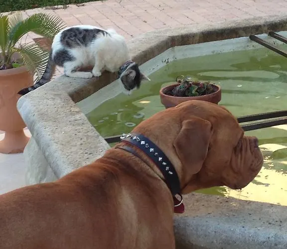 Chateau De La Clapiere Дом отдыха *