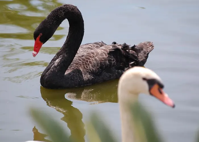 Дом отдыха Chateau De La Clapiere Йер