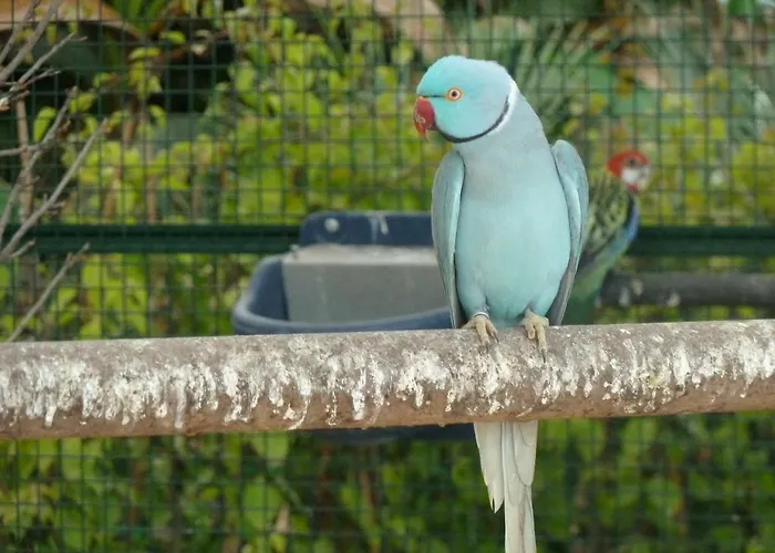 Дом отдыха Chateau De La Clapiere