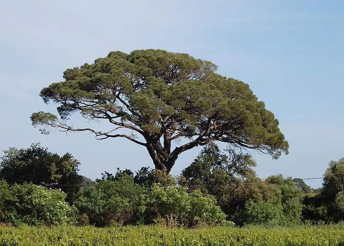 Дом отдыха Chateau De La Clapiere Йер
