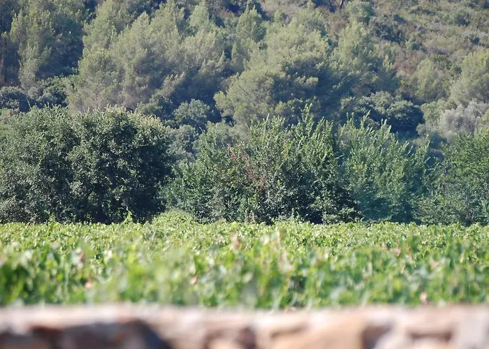 Дом отдыха Chateau De La Clapiere